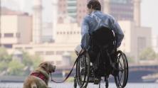 What’s the Difference Between an Emotional Support Animal and a Service Animal?