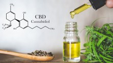 What Are the Health Benefits of CBD Gummies and Other Products?