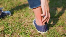 How to Relieve the Sting of Fire Ants